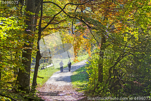 Image of Two men walking by hiking trail in the autumn forest