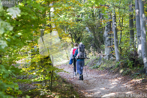 Image of Young couple with a baby walking by hiking trail in the autumn f