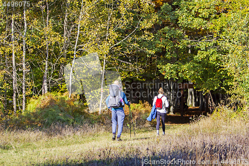 Image of Young couple with a baby walking by hiking trail in the autumn f