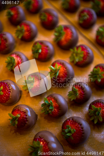 Image of dark chocolate covered strawberries