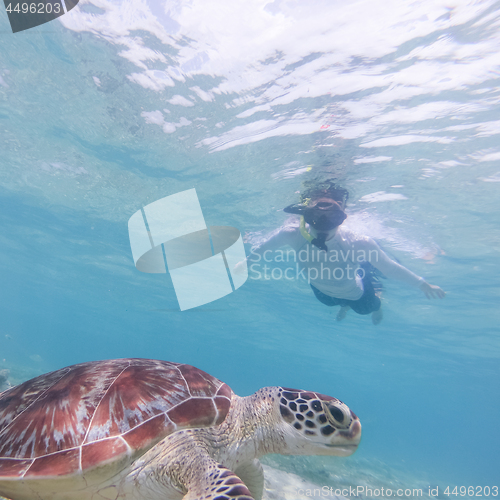 Image of People on vacations wearing snokeling masks swimming with sea turtle in turquoise blue water of Gili islands, Indonesia. Underwater photo.