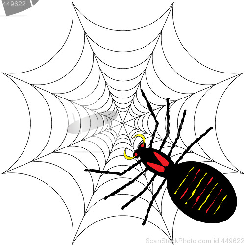 Image of spider