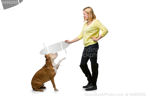 Image of Girl with amstaff dog