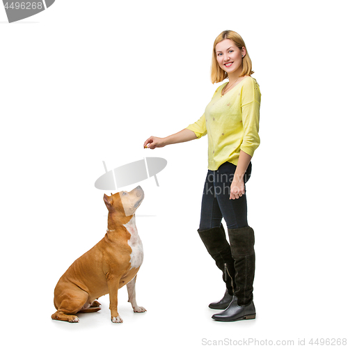 Image of Girl with amstaff dog