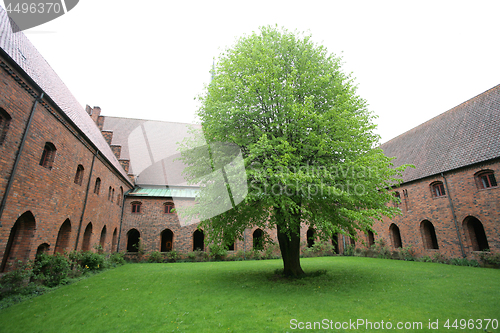 Image of  Vor Frue Monastery, a Carmelite monastery in Elsinore (Helsing