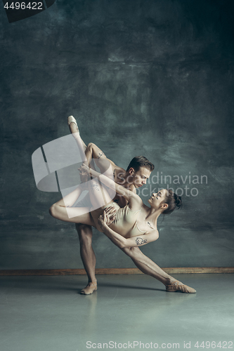 Image of The young modern ballet dancers posing on gray studio background