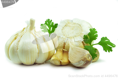 Image of Isolated garlic and clove 