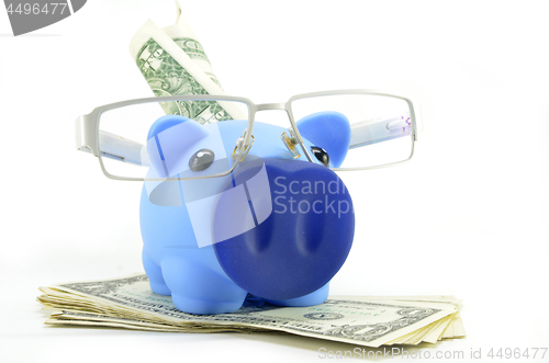 Image of Blue piggybank with US dollar