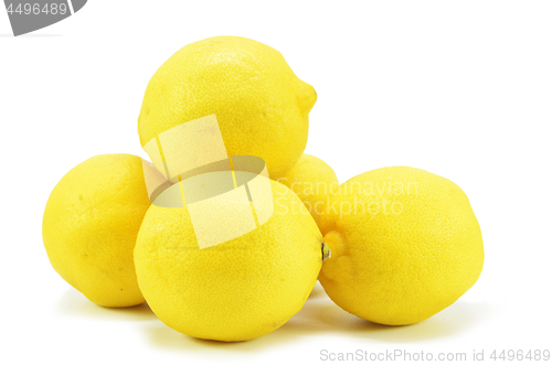 Image of Ripe lemon fruits