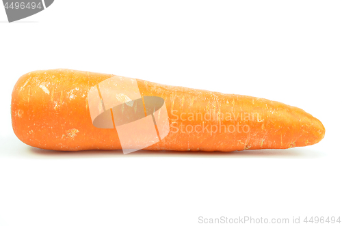 Image of Whole orange carrot isolated