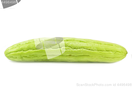 Image of Green bitter gourd