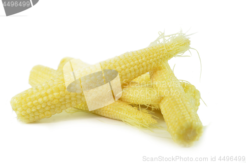 Image of Heap of fresh young baby corn 