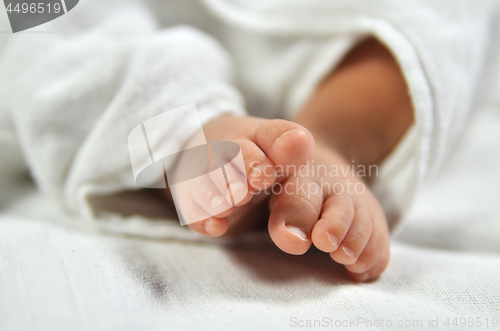 Image of Cute baby feet