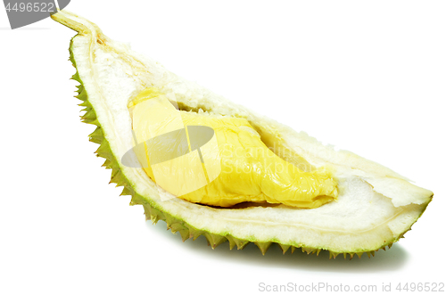 Image of Durian fresh isolated