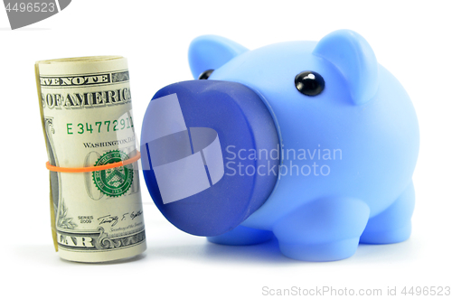 Image of US dollarcash money and piggy bank