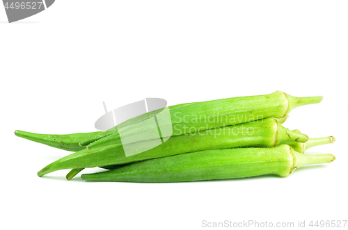 Image of Green okra isolated