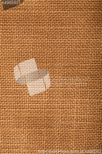 Image of fabric 