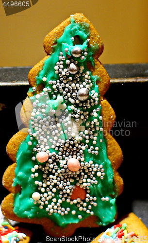 Image of Homemade christmas cookies in baking dishes