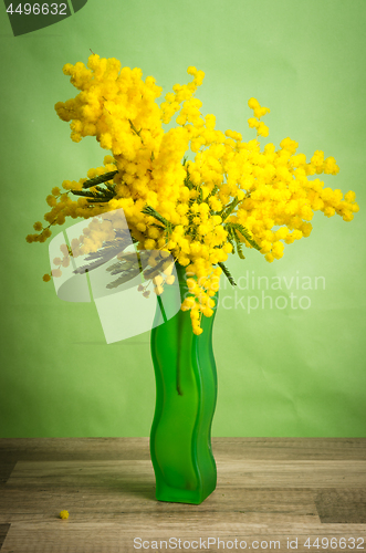 Image of Spring bouquet of mimosa in a green vase