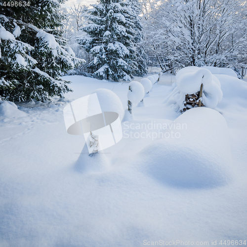 Image of Snow-covered landscape in the countryside