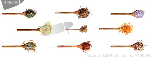 Image of Collection of Spices 