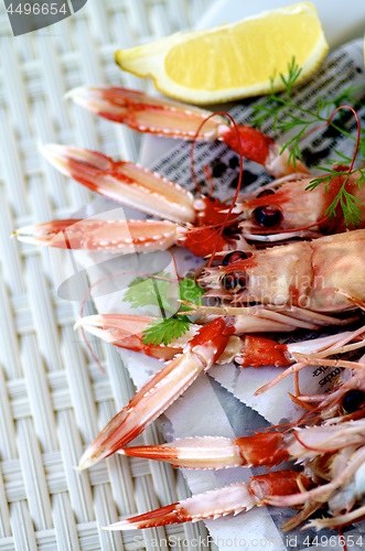 Image of Delicious Grilled Langoustines 