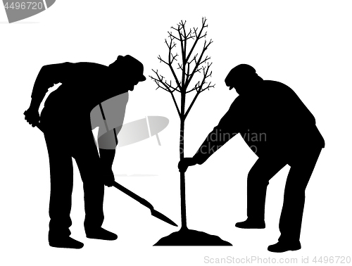 Image of Planting a tree