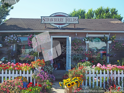 Image of editorial flower shop on Main St. Montauk Highway Montauk New Yo