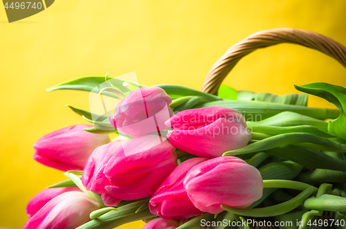 Image of Beautiful bouquet of pink tulips in a wicker basket