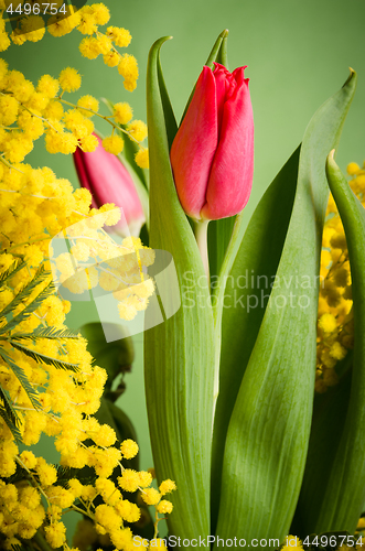 Image of Spring bouquet with tulip and mimosa
