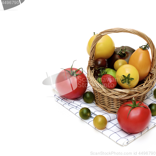 Image of Fresh Colorful Tomatoes