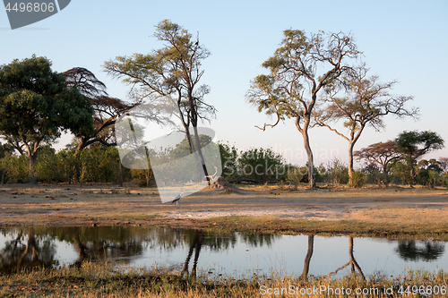 Image of Botswana Watering Hole