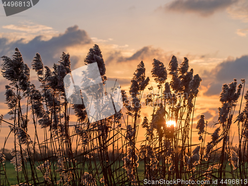 Image of Sunset at Pevensey Levels