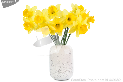 Image of bouquet of yellow Daffodils isolated on white background