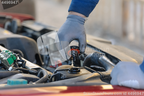 Image of engine oil changing at car with liquefied petroleum gas system