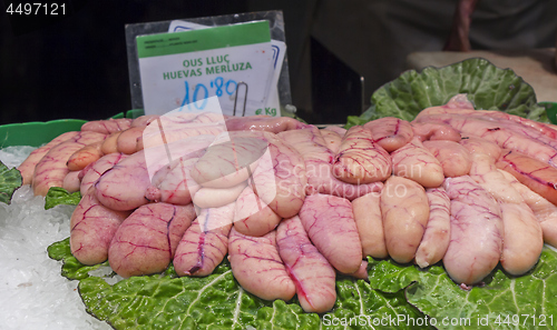 Image of Fresh eggs hake roe fish at market