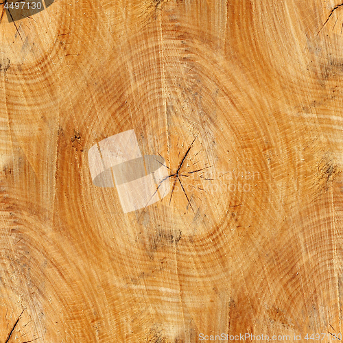 Image of Cross section of trunk as a seamless wooden background