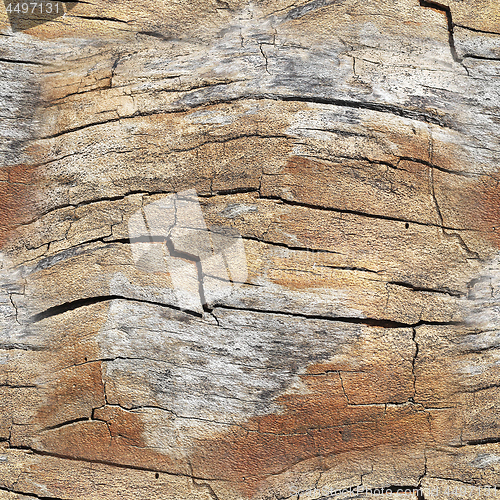 Image of Old bark cracked of trunk as a seamless wooden background