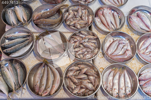 Image of Fish in Trays