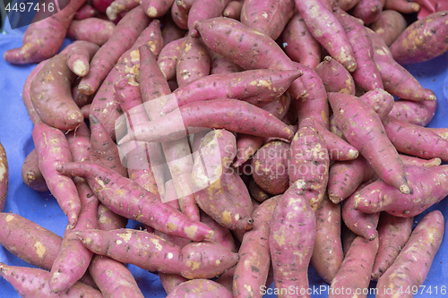 Image of Sweet Potato