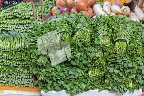 Image of Vegetables Green