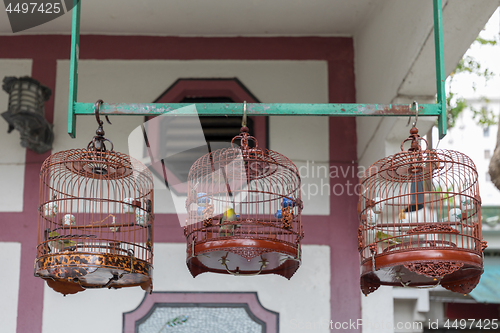 Image of Song Birds Cages