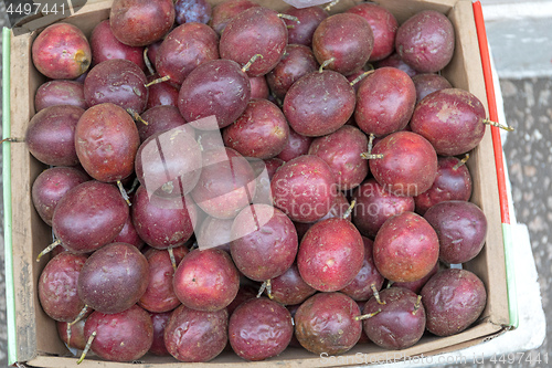 Image of Passion Fruit