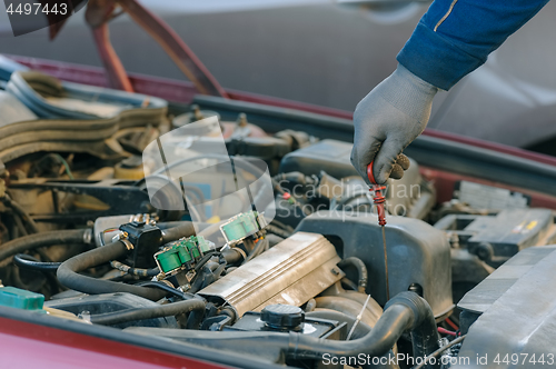 Image of engine oil changing at car with liquefied petroleum gas system