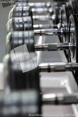 Image of Row of dumbbells in gym