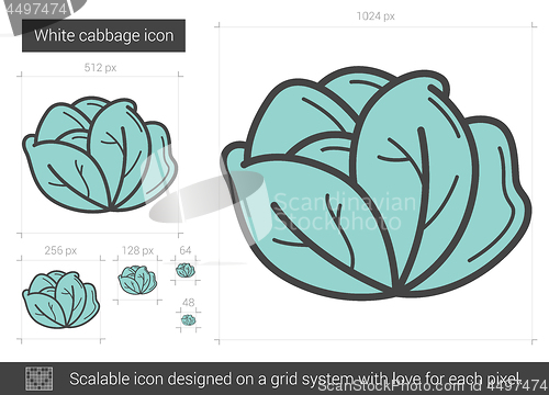 Image of White cabbage line icon.