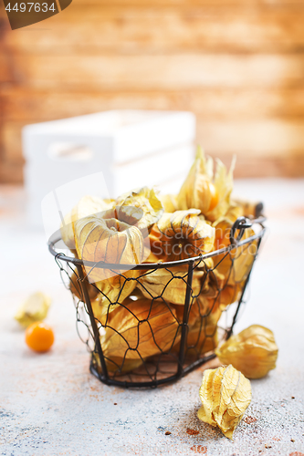 Image of Physalis