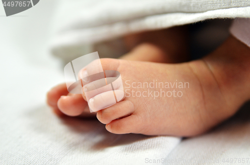 Image of Cute baby feet