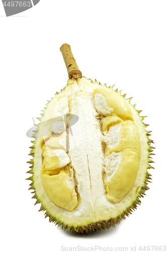 Image of Durian fresh isolated