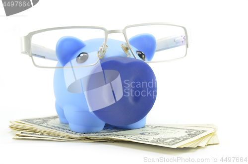 Image of Blue piggybank with US dollar